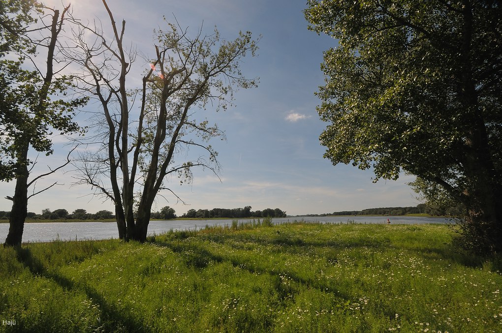 aacomp DSC 2921