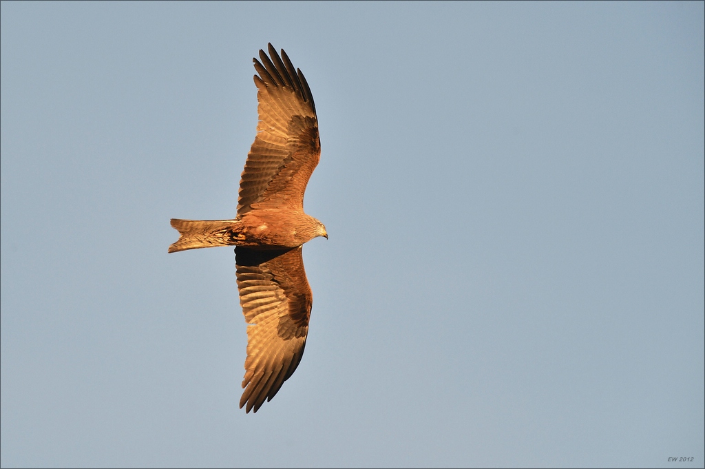 aacomp Extremadura 20120421 1600