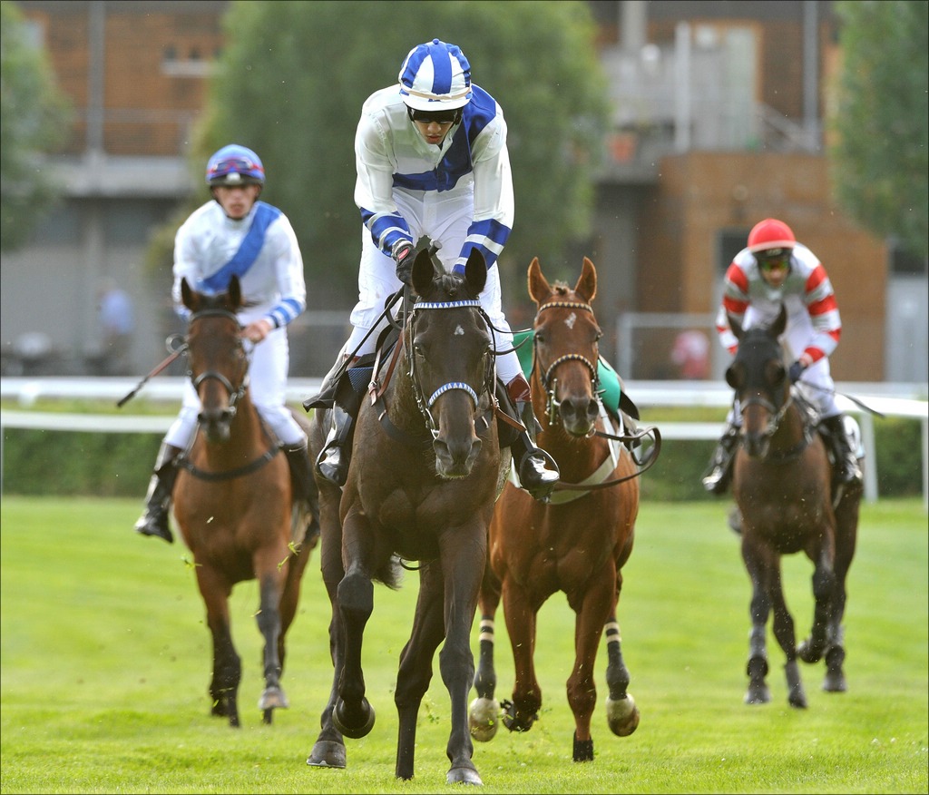 aacomp Galopp Derby 09 0185