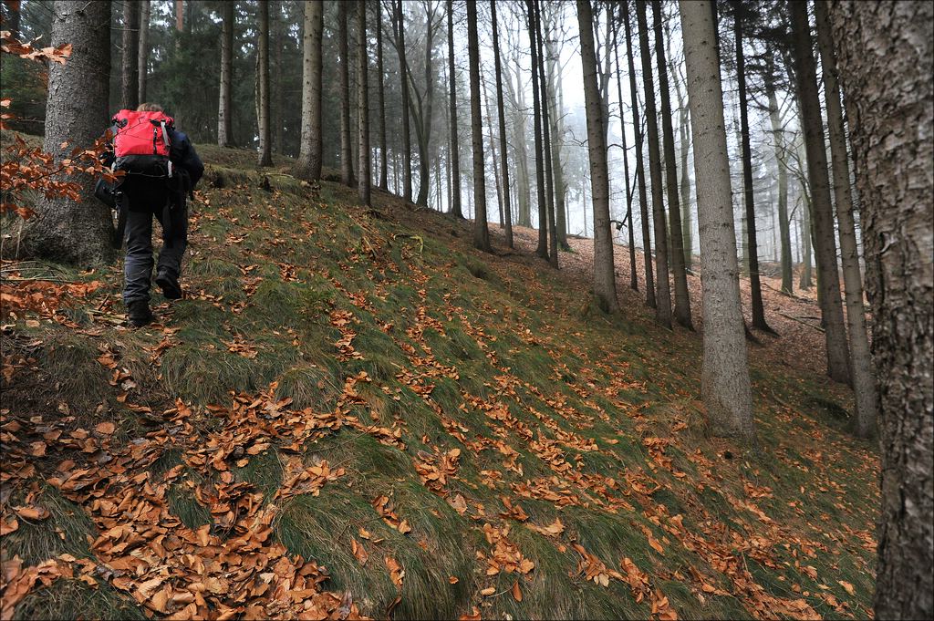 aacomp hamburgerberge9 0096