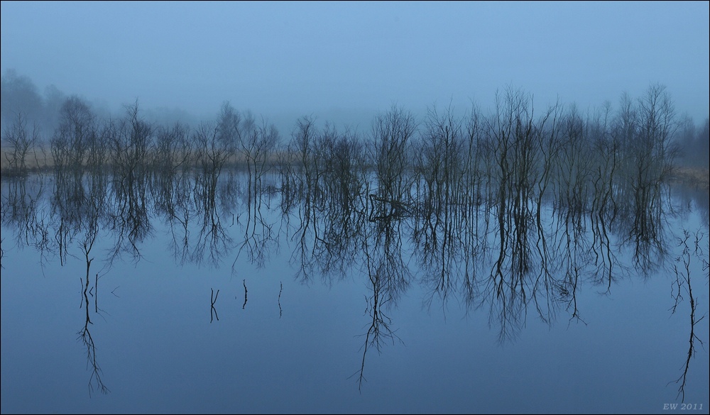 aacomp Hasenmoor 20110319 0182ab