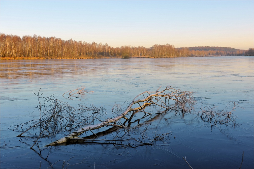 aacomp Hasenmoor 20120115 0190