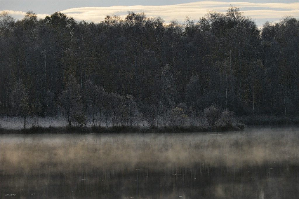 aacomp hasenmoor 20121027 0263