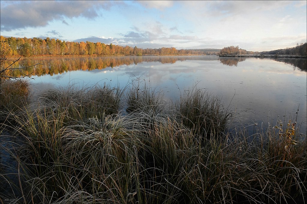 aacomp hasenmoor 20121027 0390
