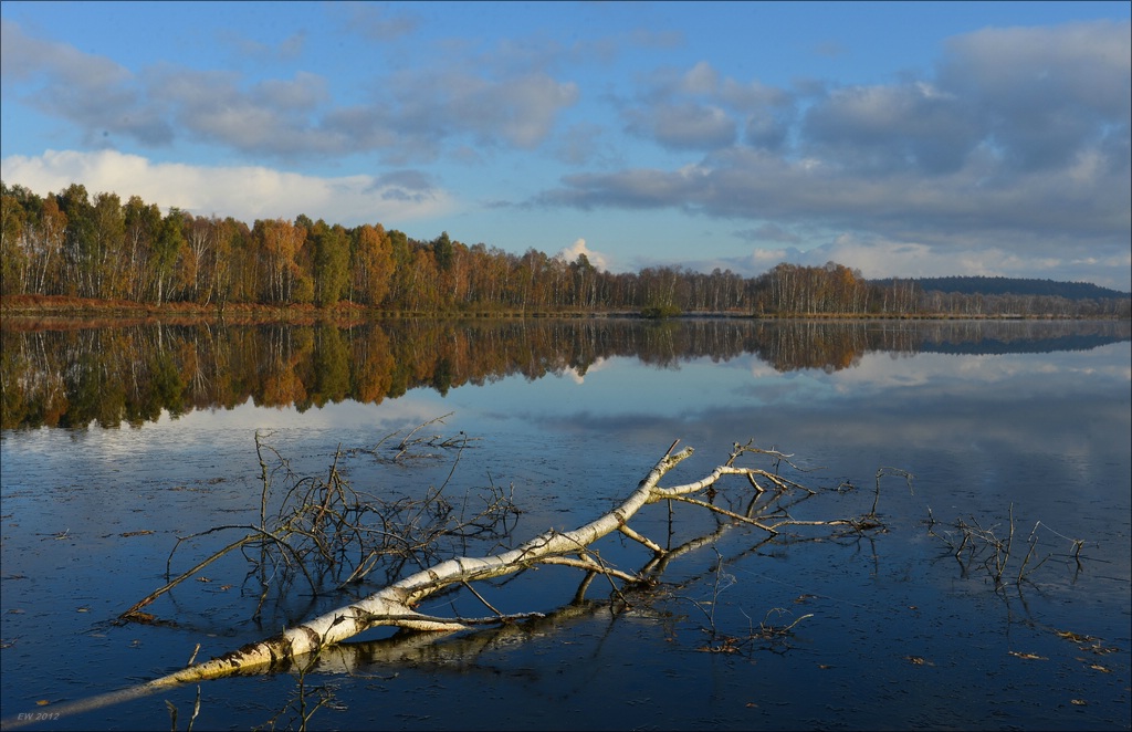 aacomp hasenmoor 20121027 0528