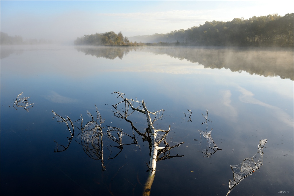 aacomp Hasenmoor 20130928 0163