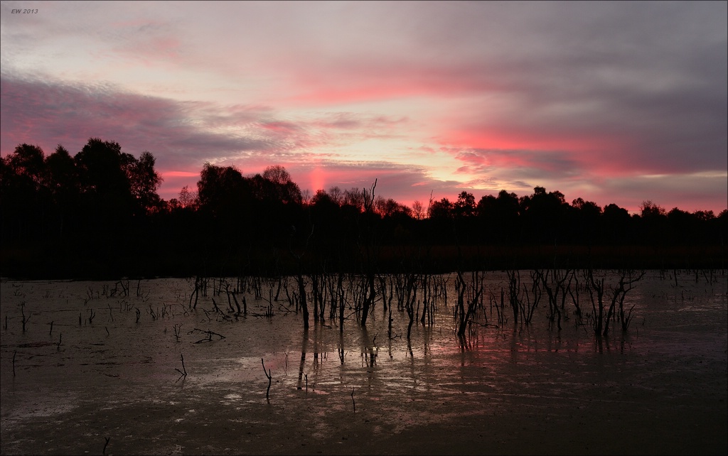 aacomp hasenmoor 20131019 0013