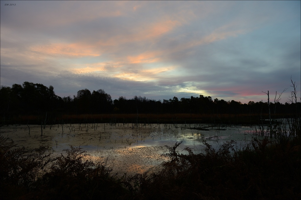aacomp hasenmoor 20131019 0046