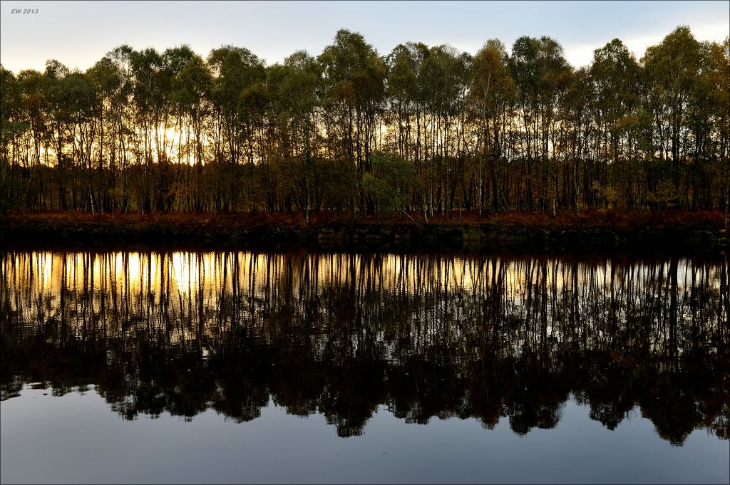 aacomp hasenmoor 20131019 0117