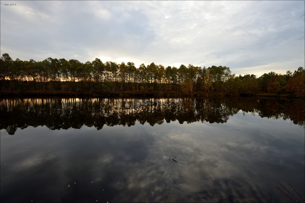 aacomp hasenmoor 20131019 0138