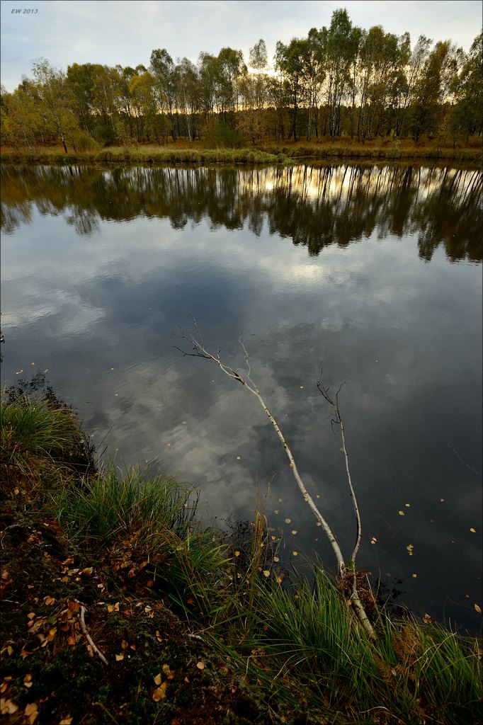 aacomp hasenmoor 20131019 0158