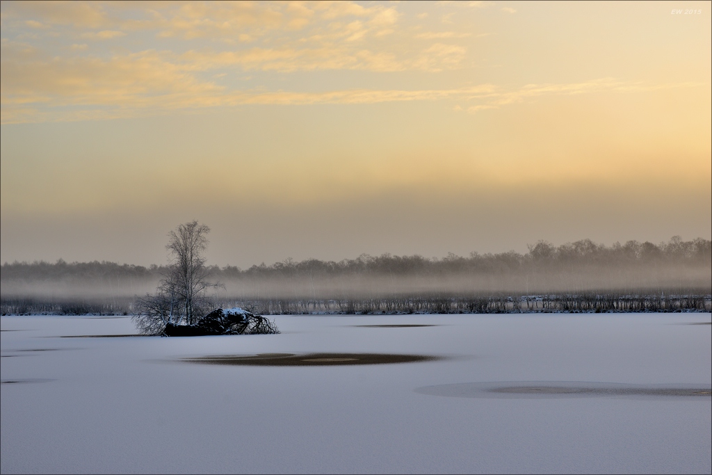 aacomp hasenmoor 20150125 00833000