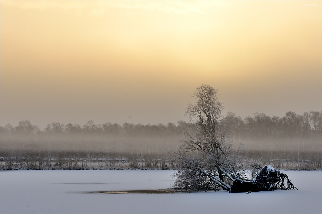 aacomp hasenmoor 20150125 01043000