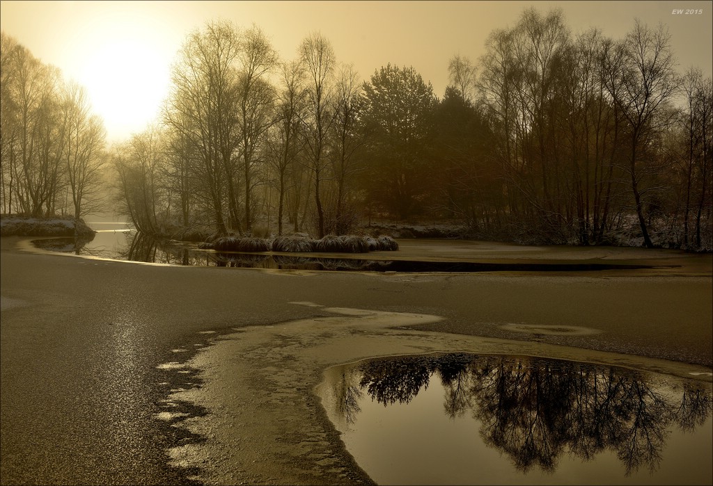 aacomp hasenmoor 20150125 0231a3000