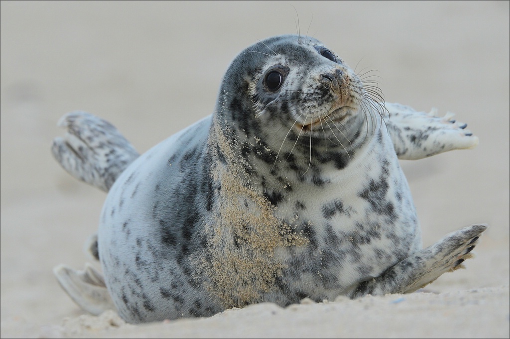 aacomp Helgoland 20130111 1221