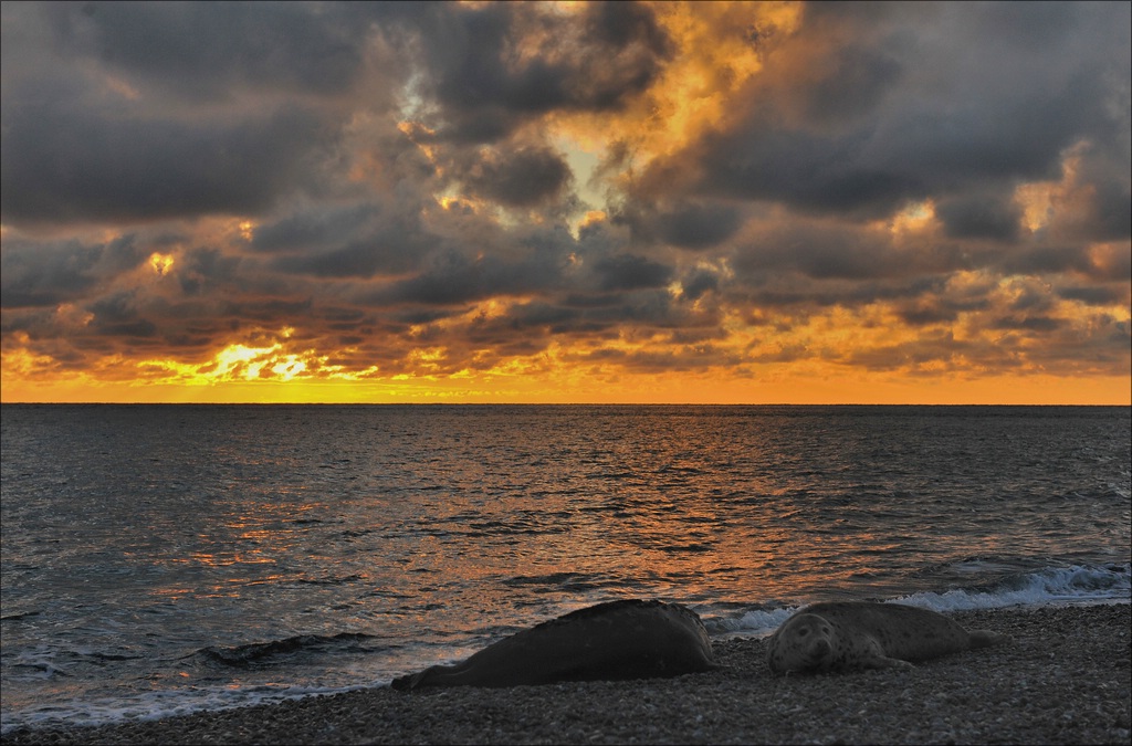 aacomp Helgoland 20130112 7139