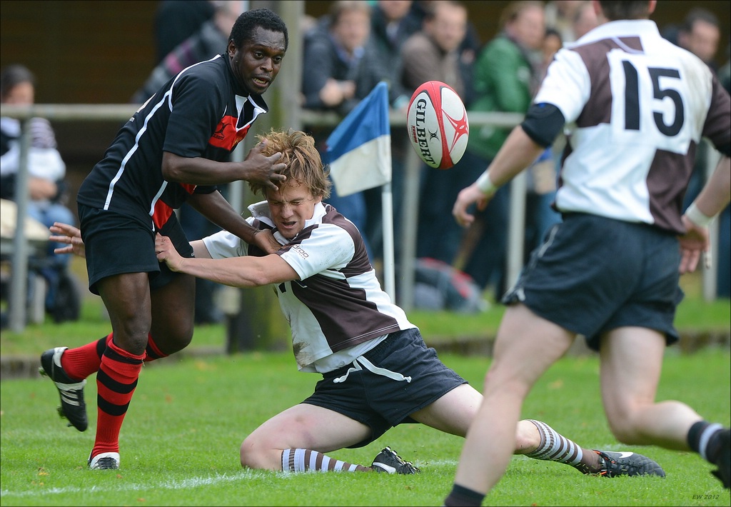 aacomp HRC vs Pauli 20120915 0081