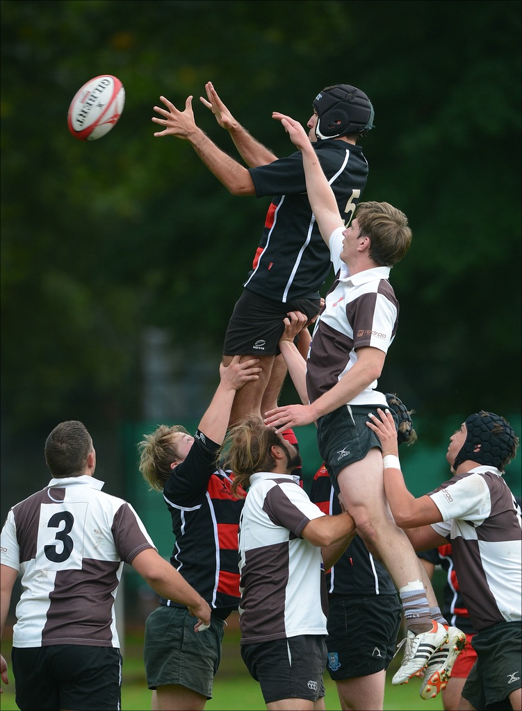 aacomp HRC vs Pauli 20120915 0163