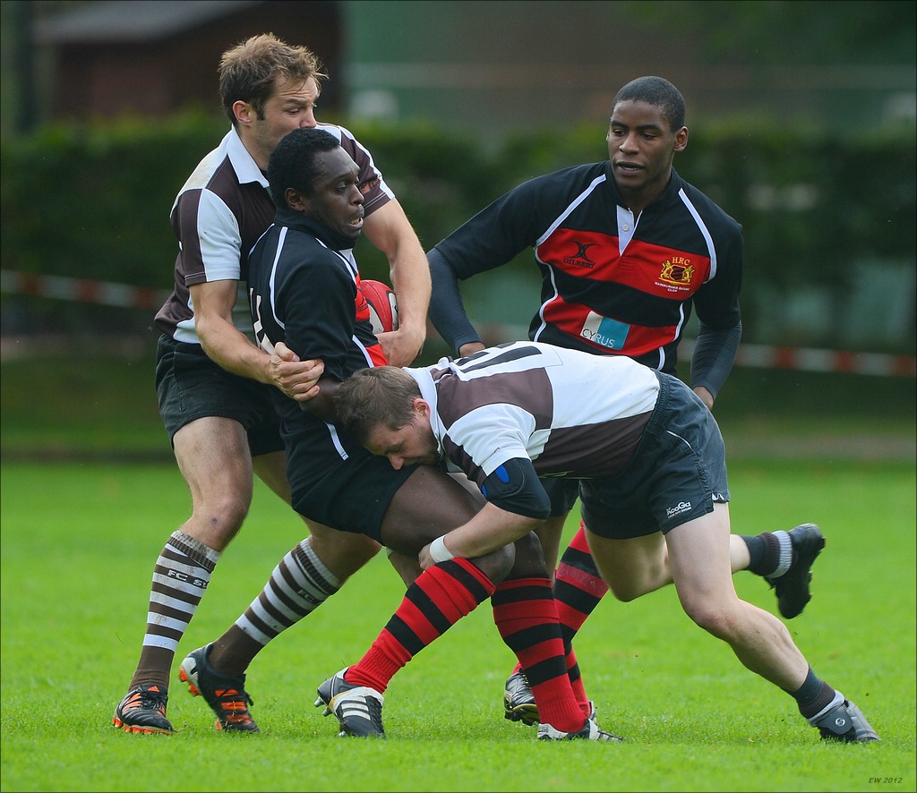 aacomp HRC vs Pauli 20120915 0402