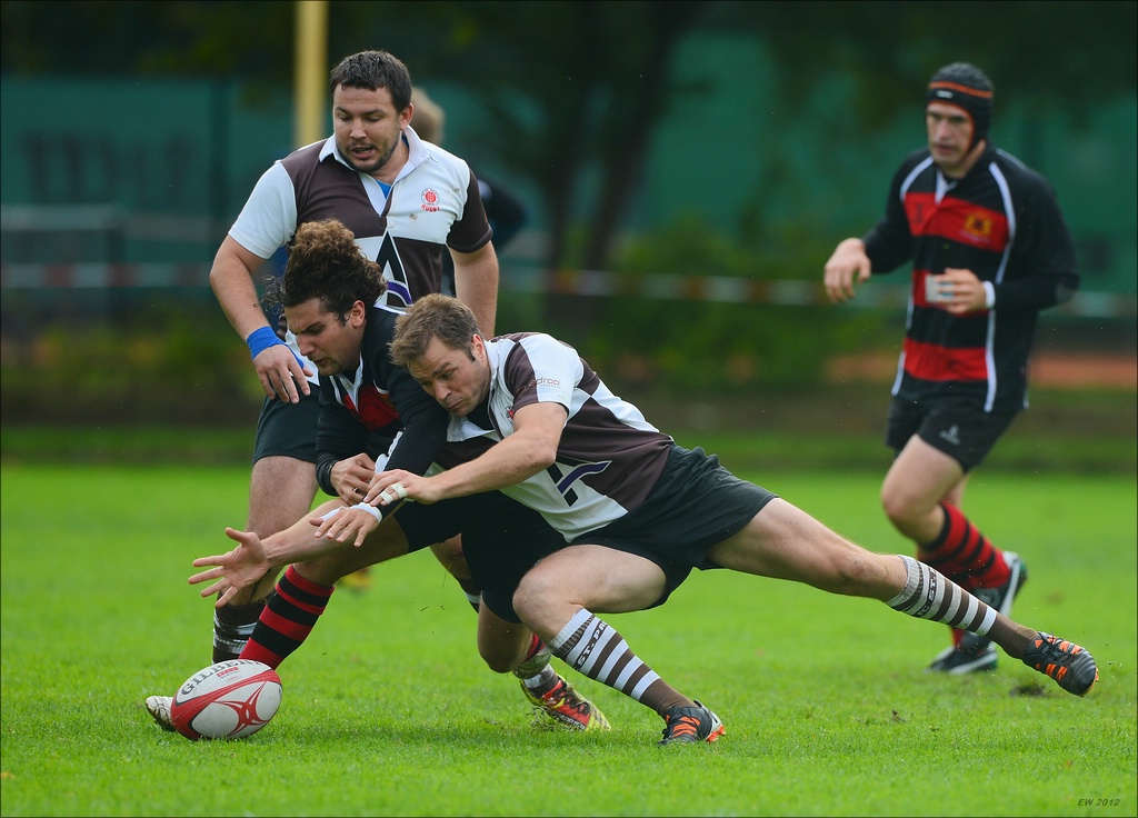 aacomp HRC vs Pauli 20120915 0464