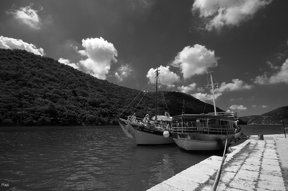 aacomp Limski 2011  (8)sw