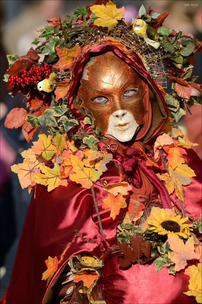 aacomp maskenzauber 20150131 02503000