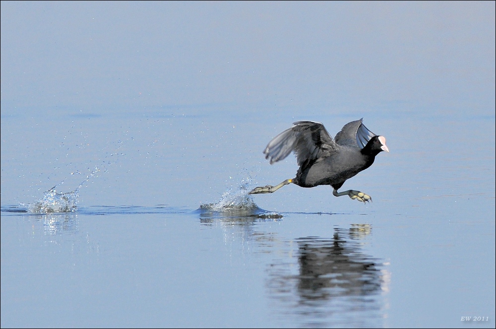 aacomp Nabu Wedel 20110327 1811