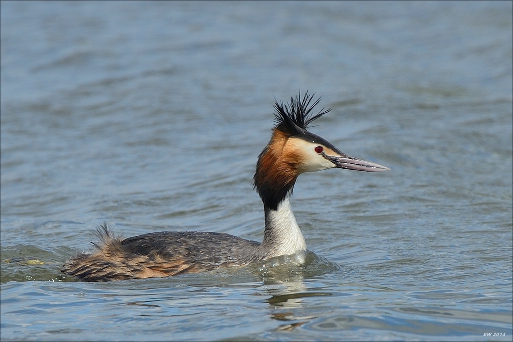 aacomp nordfriesland 20140503 1302