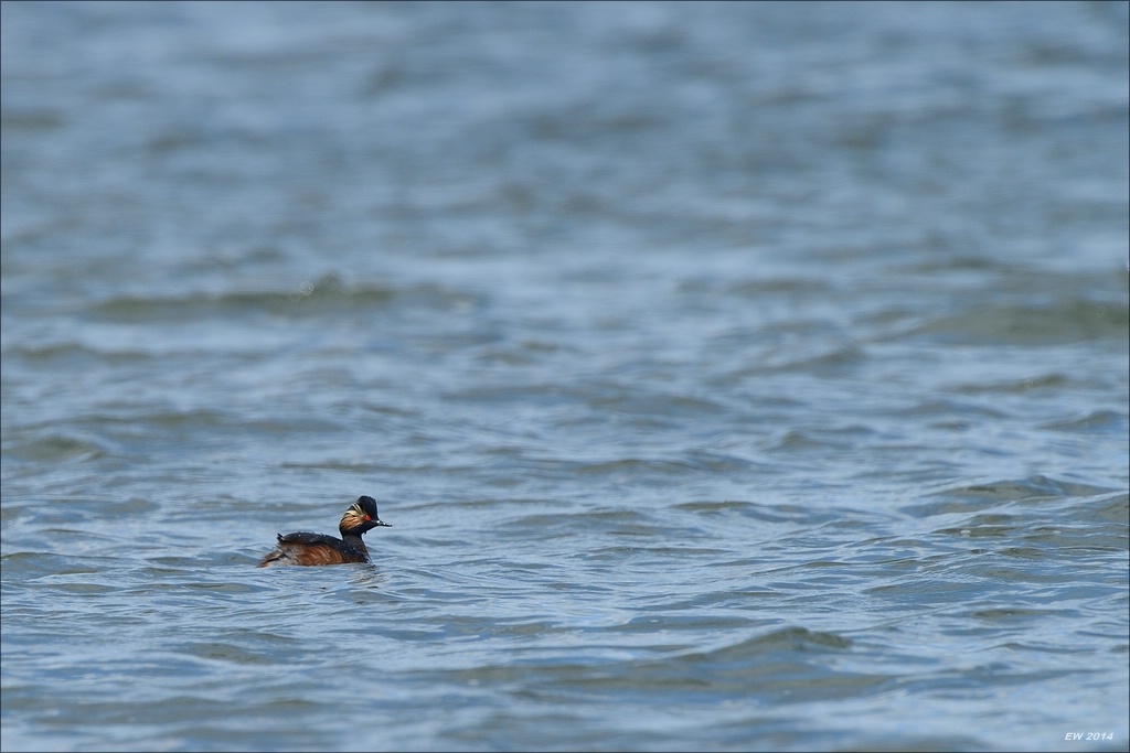 aacomp nordfriesland 20140503 1335