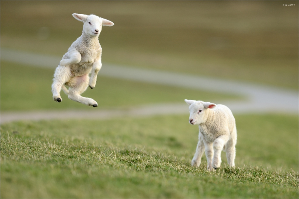 aacomp nordfriesland 20150403 4705 1920