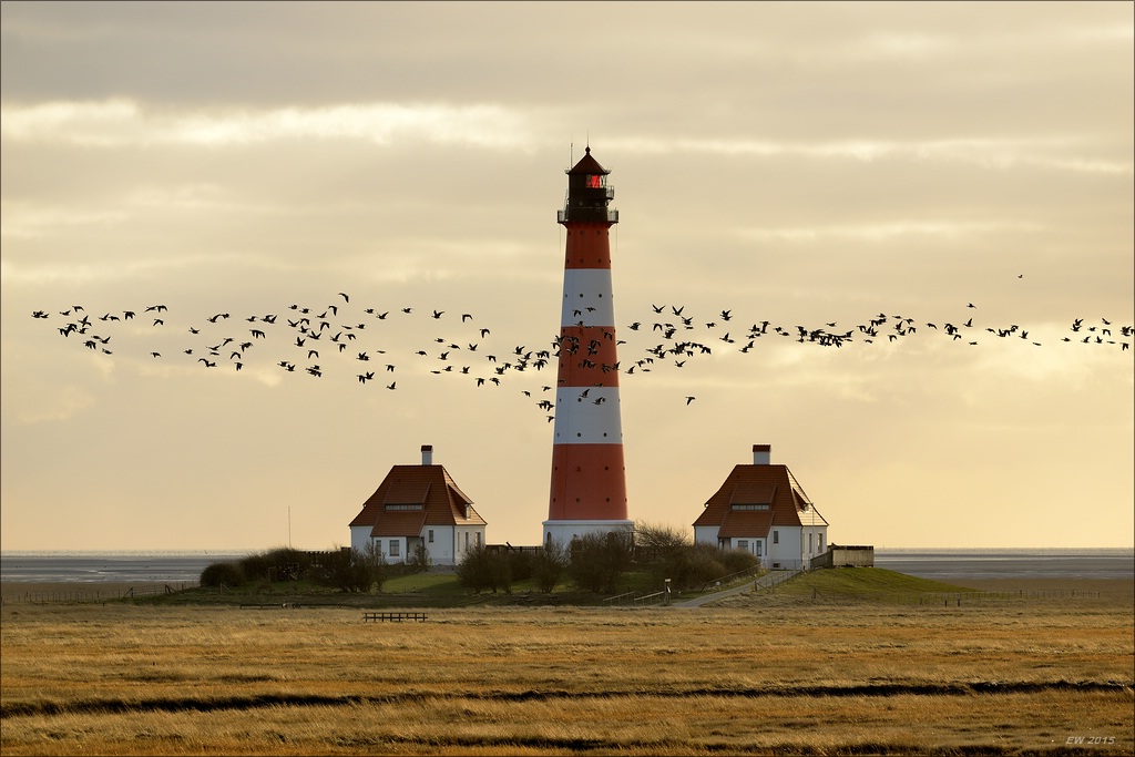 aacomp nordfriesland 20150403 5089 1920