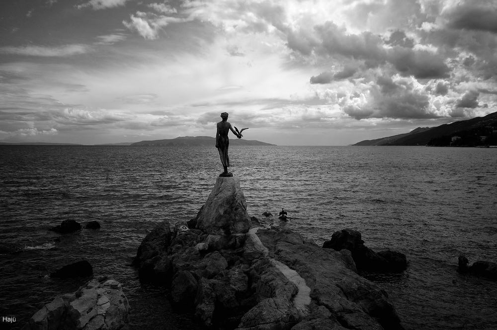 aacomp Opatija 2011  (58)sw