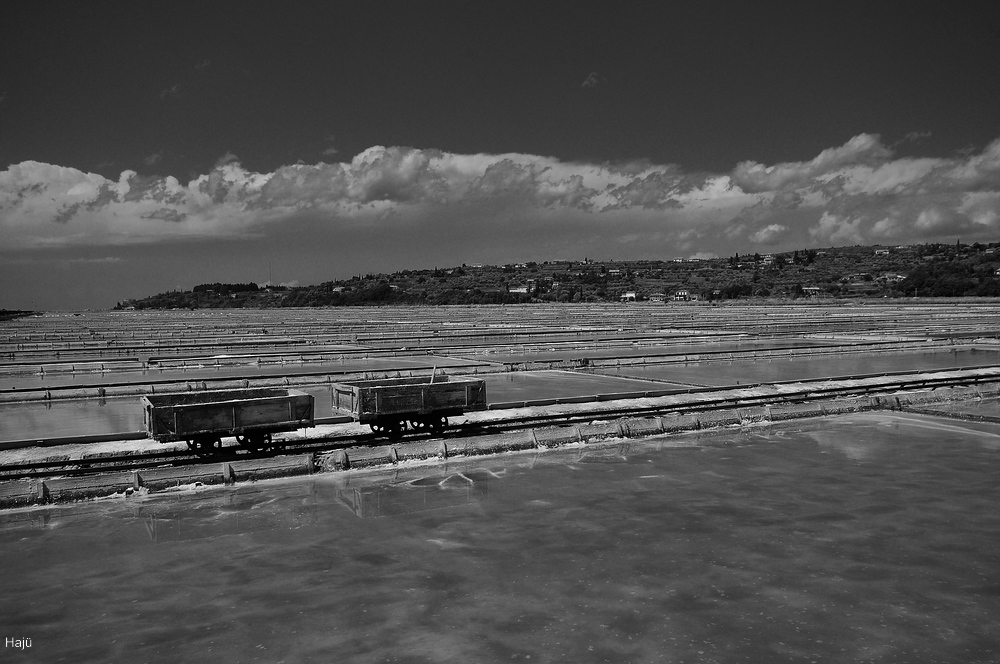 aacomp Piran Portoroz 2011  (114)sw