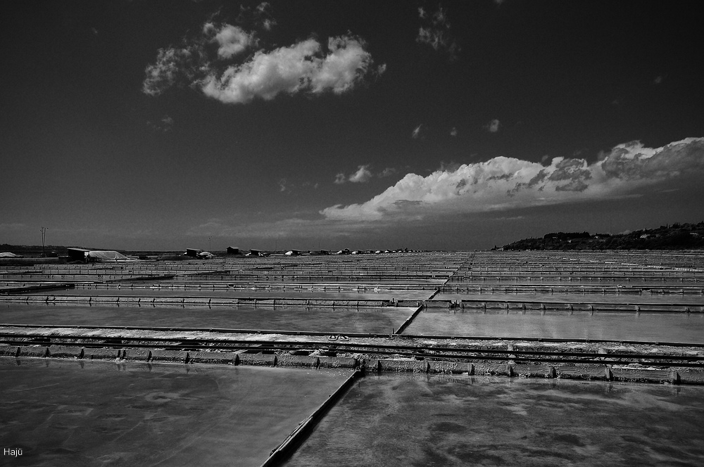 aacomp Piran Portoroz 2011  (118)sw
