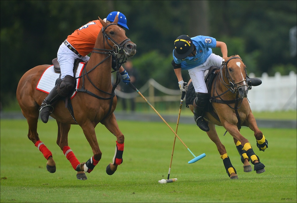 aacomp polo 20120901 0217