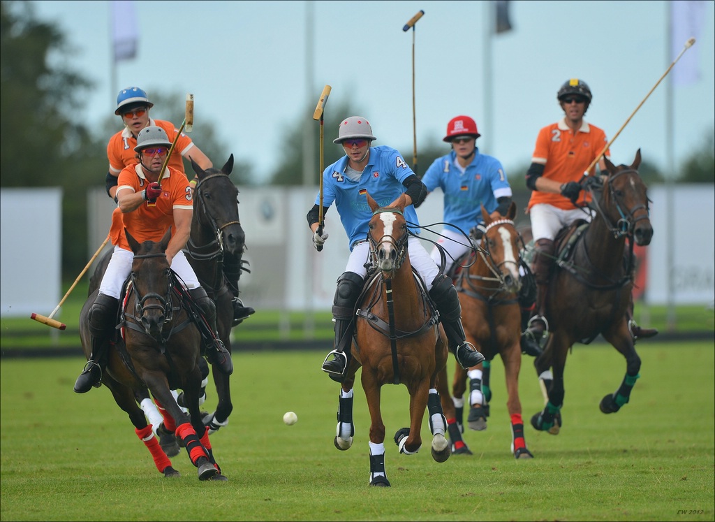 aacomp polo 20120901 0444