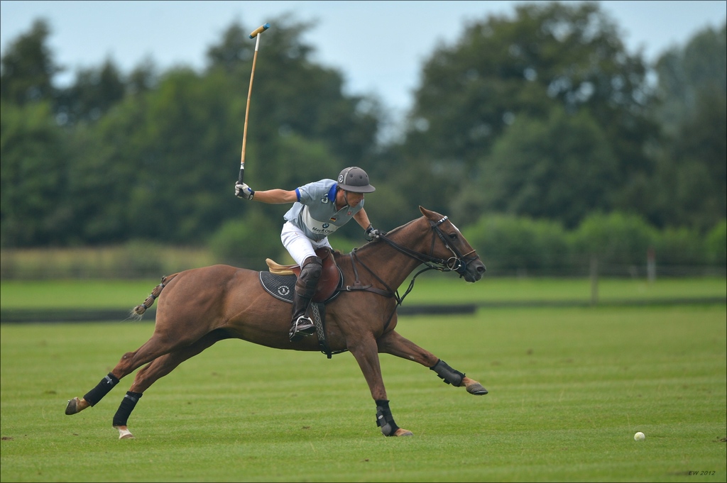 aacomp polo 20120901 0595