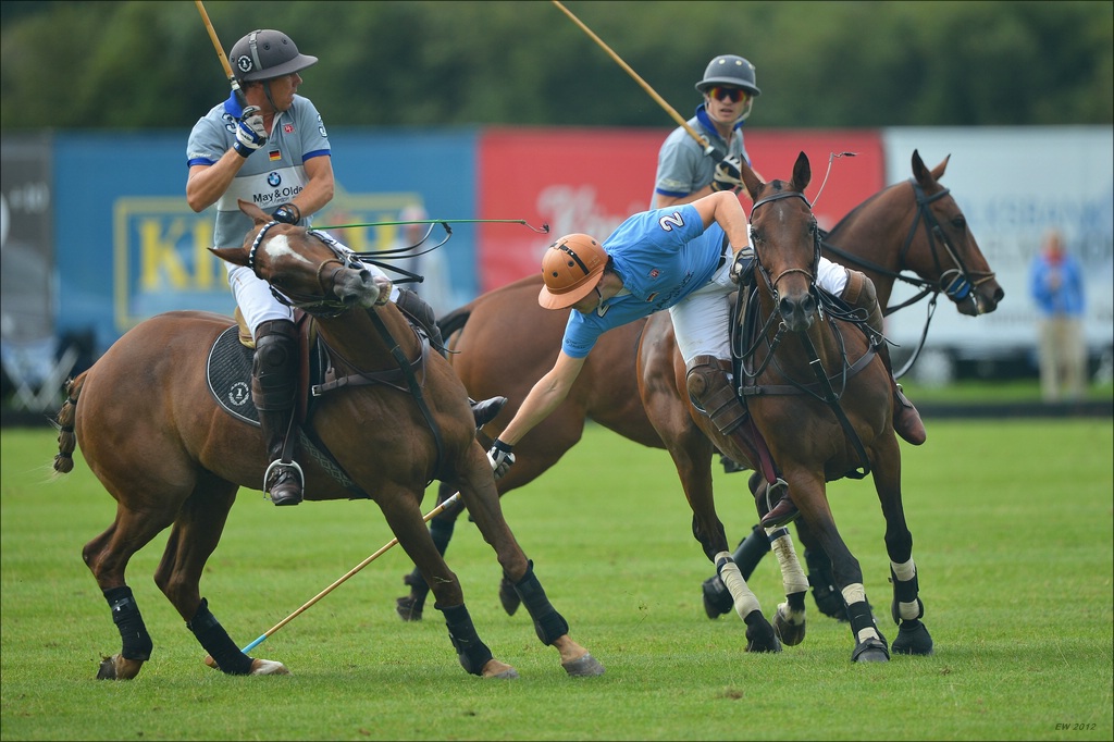 aacomp polo 20120901 0641