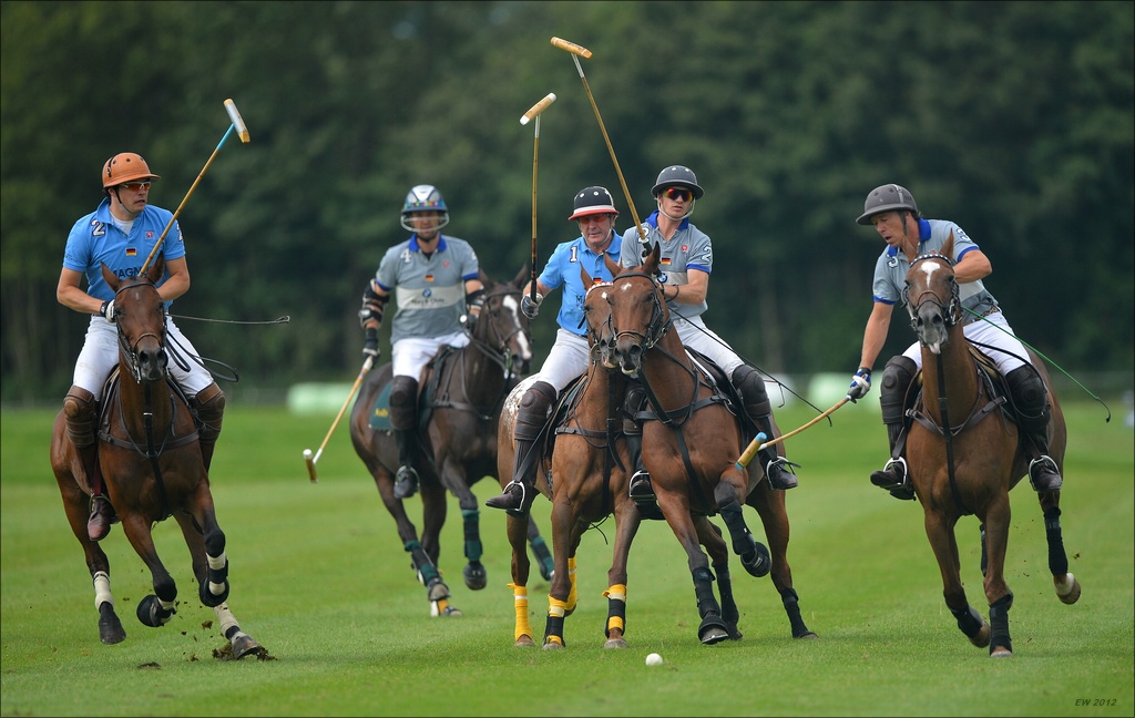 aacomp polo 20120901 0678