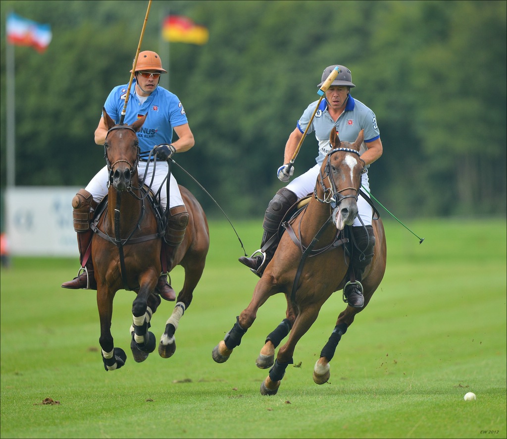 aacomp polo 20120901 0690