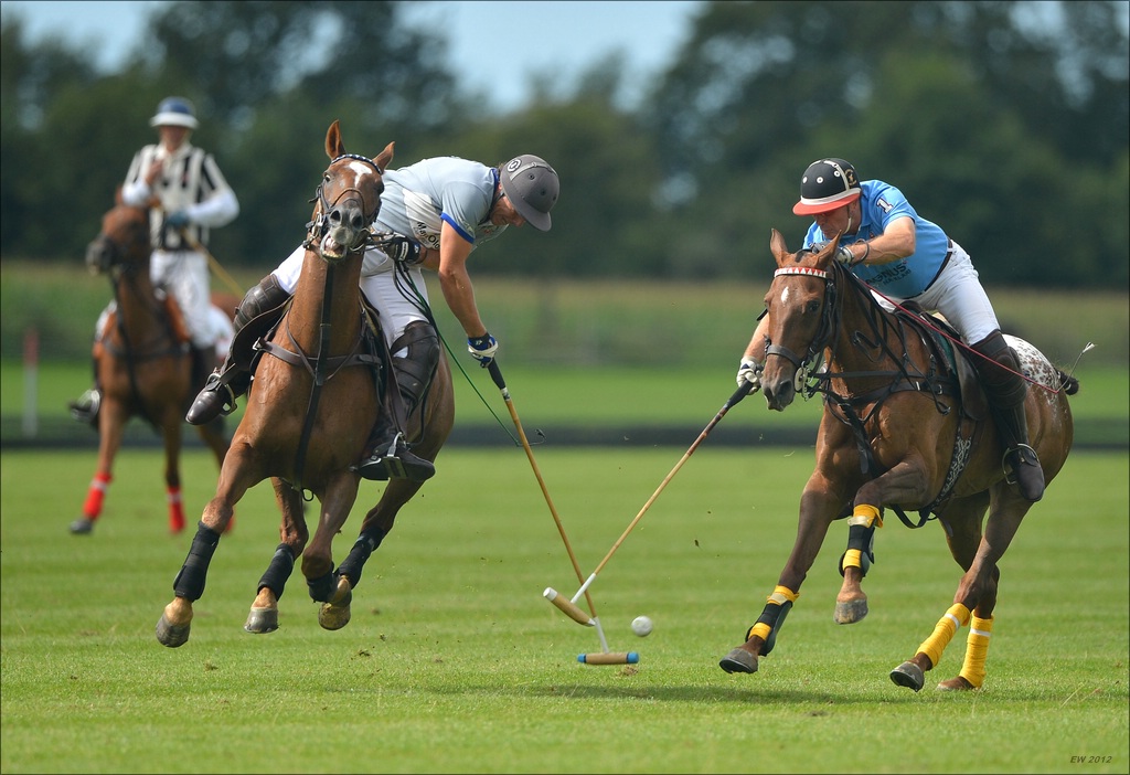 aacomp polo 20120901 0736