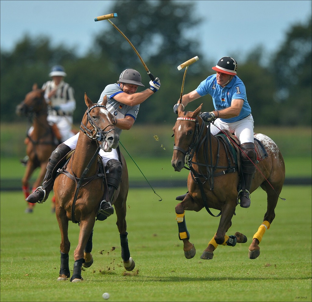 aacomp polo 20120901 0739b