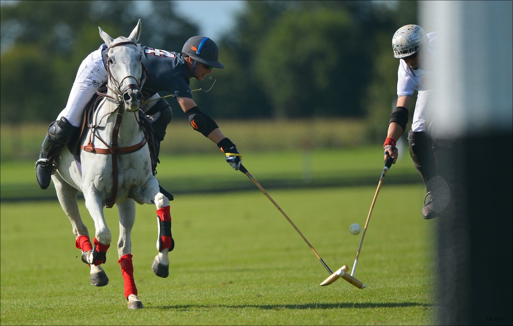 aacomp polo 20120901 1064