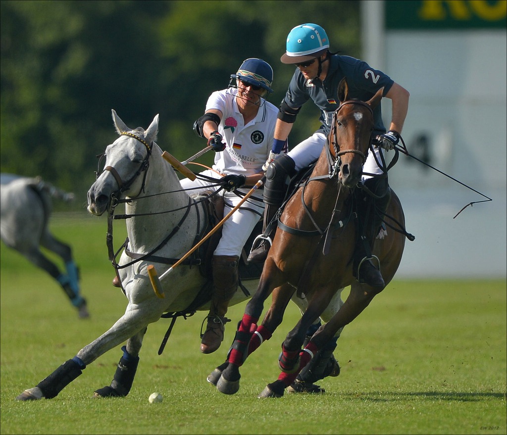 aacomp polo 20120901 1528