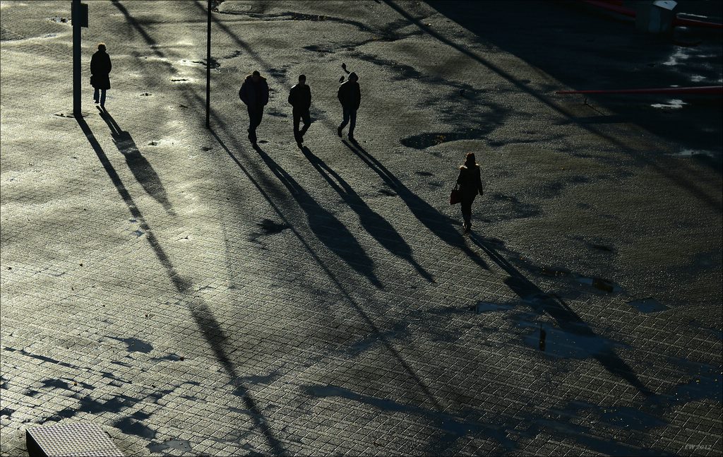 aacomp rotterdam 20121202 0262