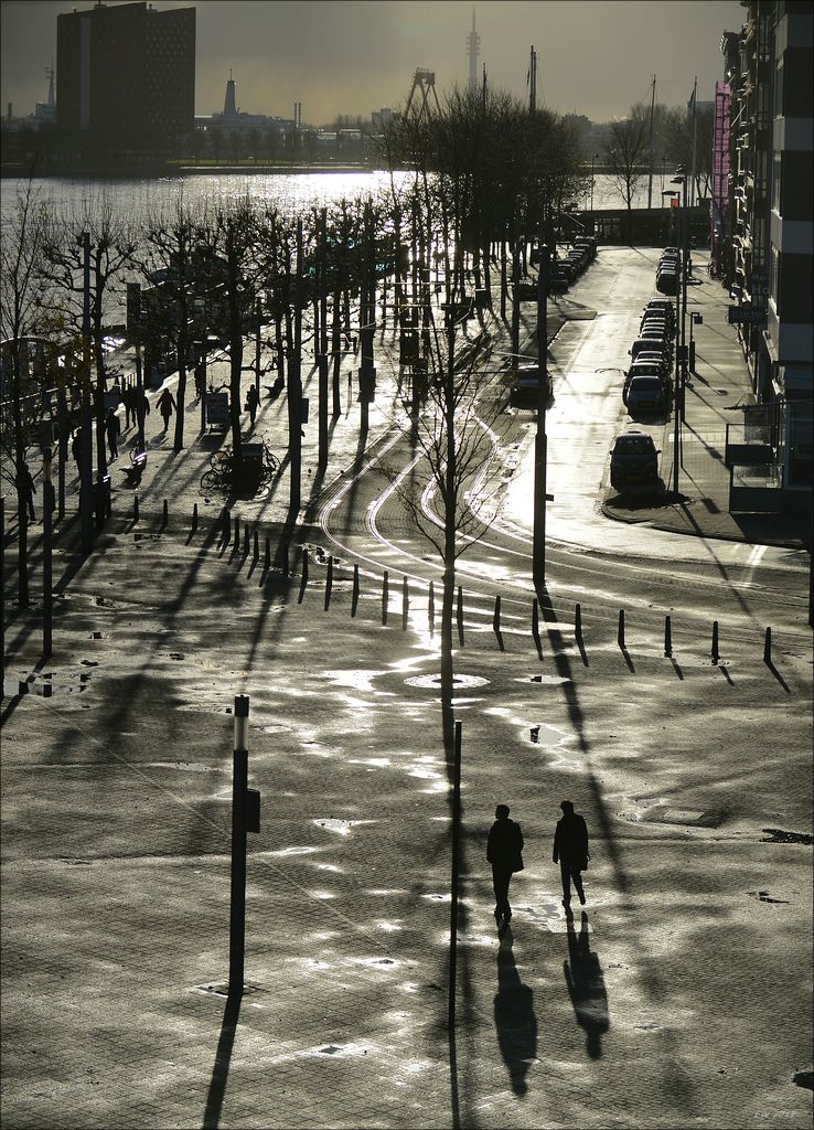 aacomp rotterdam 20121202 0269