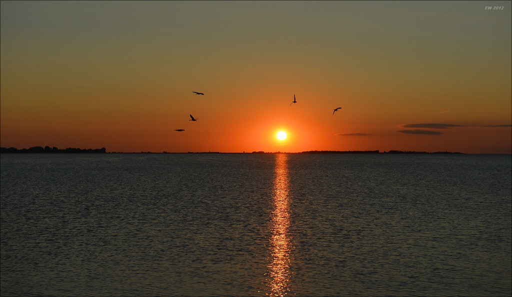 aacomp Schweden 20120813 0102
