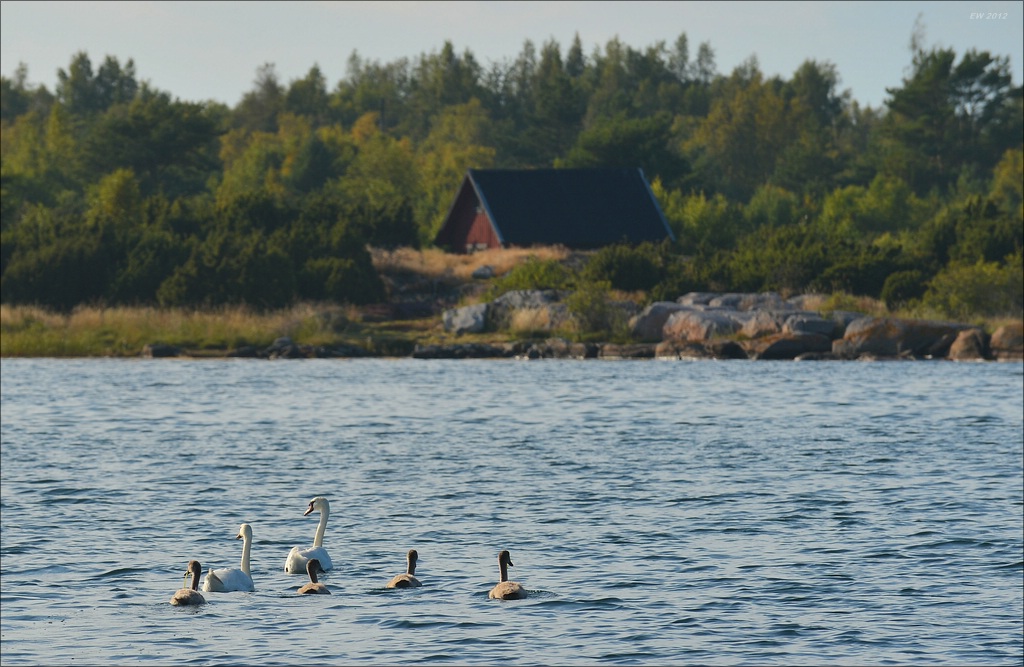 aacomp Schweden 20120816 1625