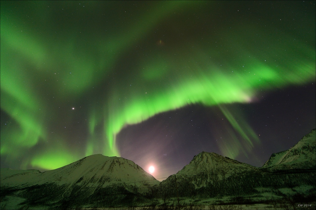 aacomp tromsö 20140208 0300a
