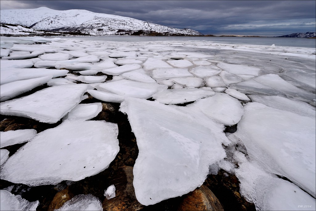 aacomp tromsö 20140210 1607